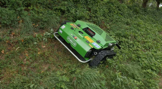 Preview: Robogeko Hybrid-Mähraupe